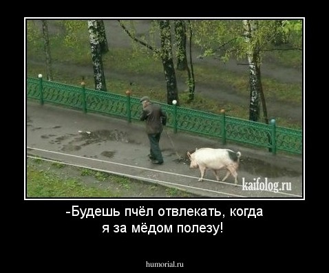 -Будешь пчёл отвлекать, когда я за мёдом полезу!
