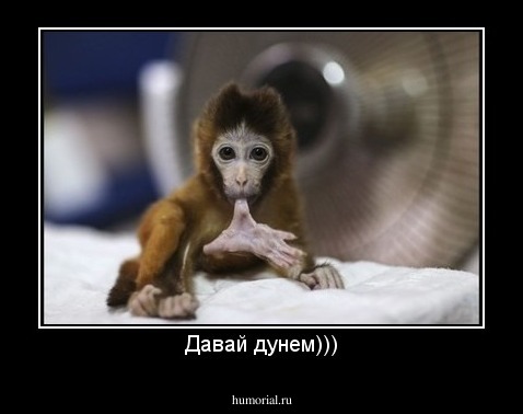 Давай дунем)))