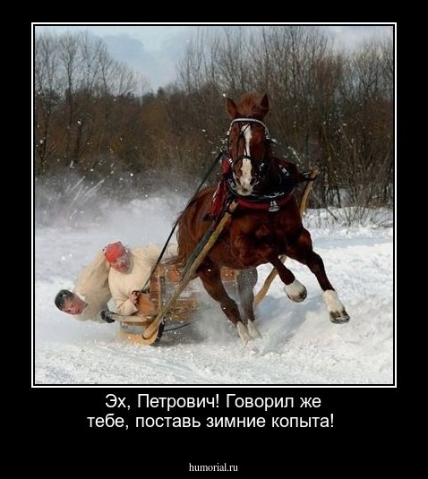 Эх, Петрович! Говорил же тебе, поставь зимние копыта! 