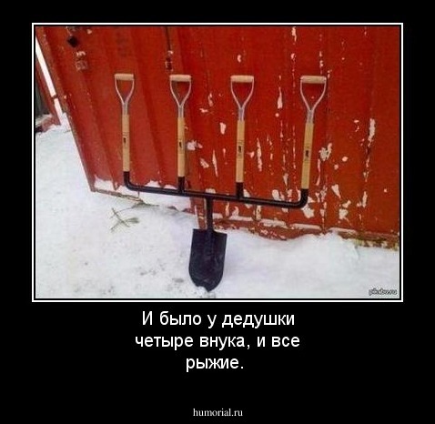 И было у дедушки четыре внука, и все рыжие.