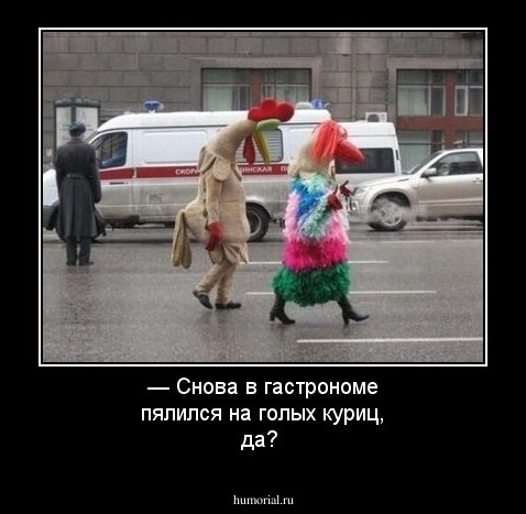 — Снова в гастрономе пялился на голых куриц, да? 
