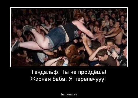 Гендальф: Ты не пройдёшь! 
Жирная баба: Я перелечууу! 