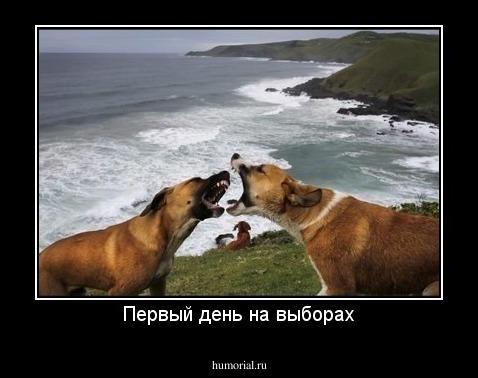 Первый день на выборах