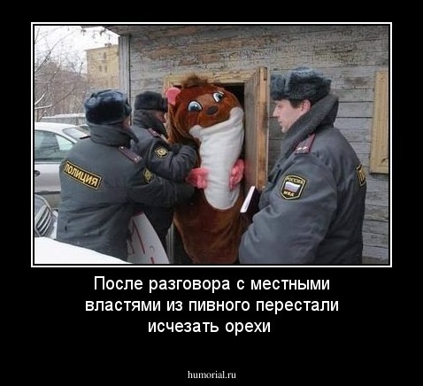 После разговора с местными властями из пивного перестали исчезать орехи
