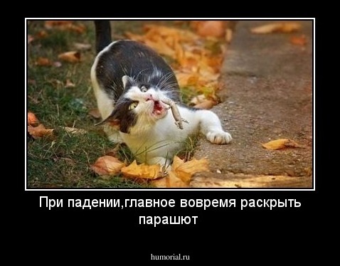 При падении,главное вовремя раскрыть парашют