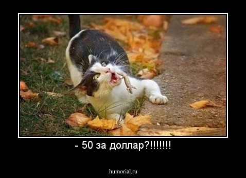- 50 за доллар?!!!!!!!