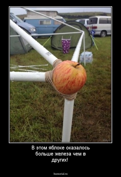 В этом яблоке оказалось больше железа чем в других! 
