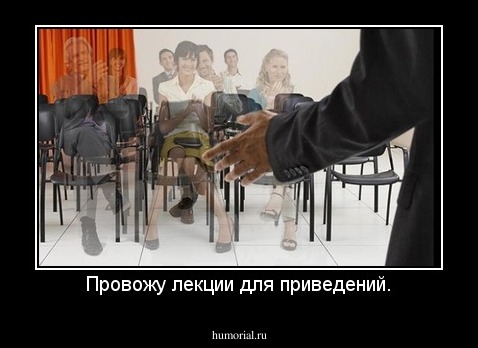 Провожу лекции для приведений.