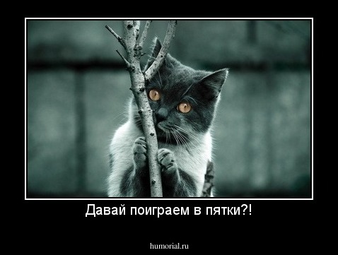 Давай поиграем в пятки?!