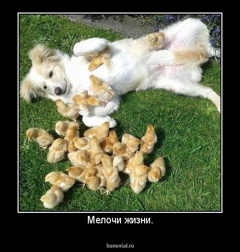 Мелочи жизни.
