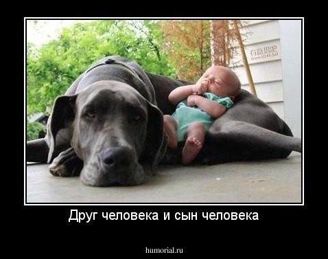 Друг человека и сын человека