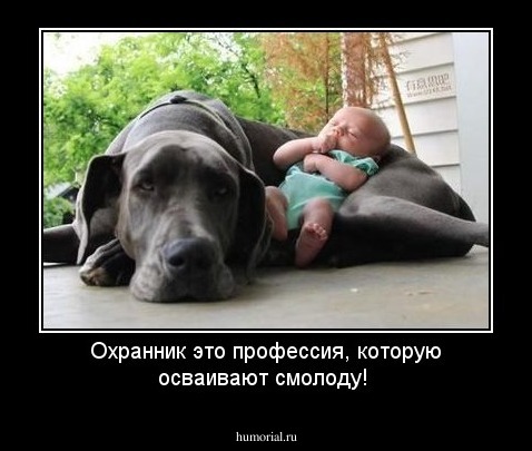 Охранник это профессия, которую осваивают смолоду!