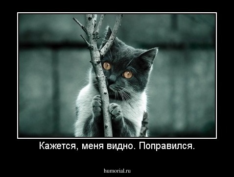 Кажется, меня видно. Поправился.