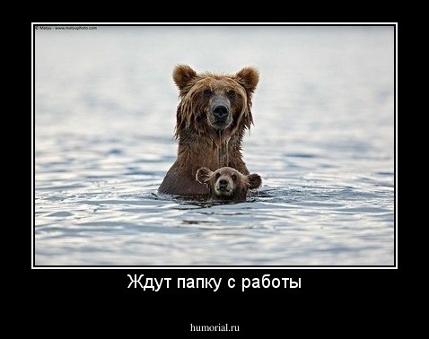 Ждут папку с работы