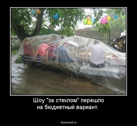 Шоу "за стеклом" перешло на  бюджетный вариант.