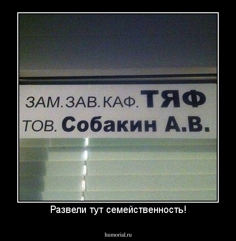 Развели тут семейственность!