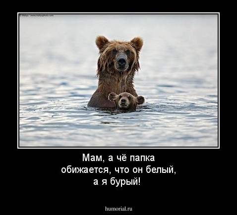 Мам, а чё папка обижается, что он белый, а я бурый!