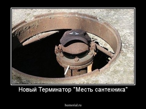 Новый Терминатор "Месть сантехника"