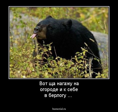 Вот ща нагажу на огороде и к себе в берлогу ...