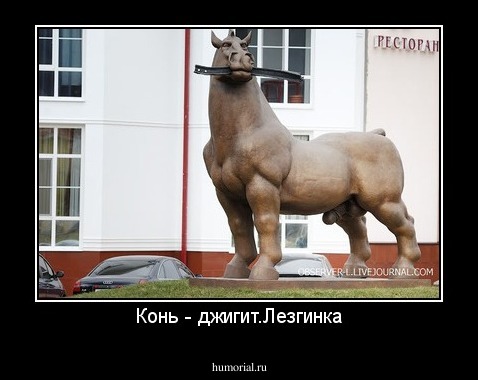 Конь - джигит.Лезгинка