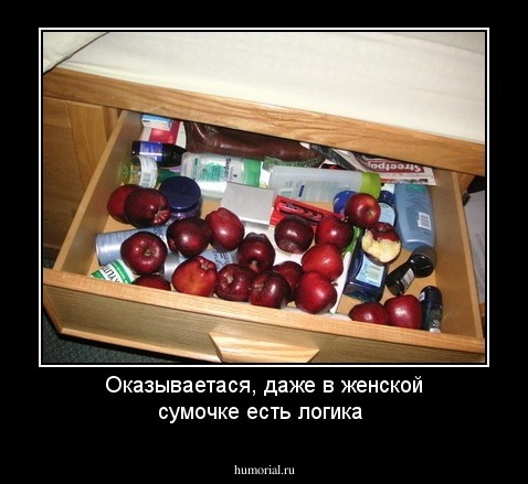 Оказываетася, даже в женской сумочке есть логика