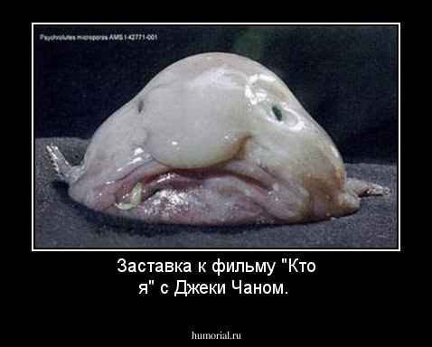 Заставка к фильму "Кто я" с Джеки Чаном.