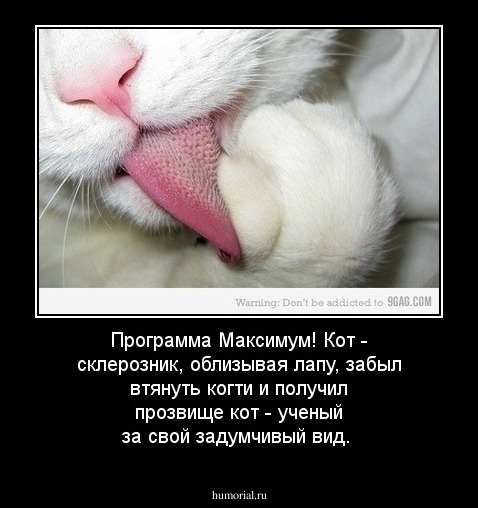 Программа Максимум!

Кот - склерозник, облизывая лапу, забыл втянуть когти и получил прозвище кот - ученый за свой задумчивый вид.