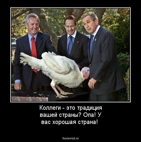 Коллеги - это традиция вашей страны? Опа! У вас хорошая страна! 