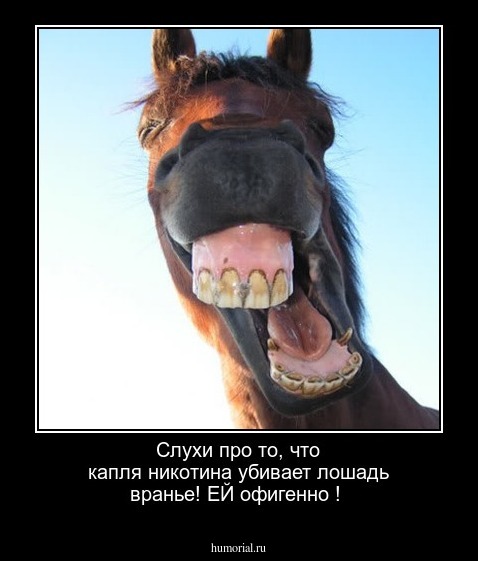 Слухи про то, что капля никотина убивает лошадь вранье! ЕЙ офигенно !