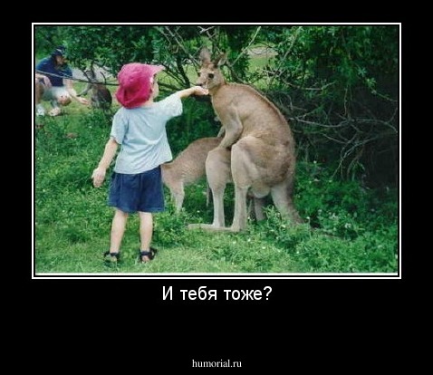 И тебя тоже?
