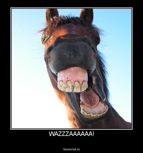 WAZZZAAAAAA!