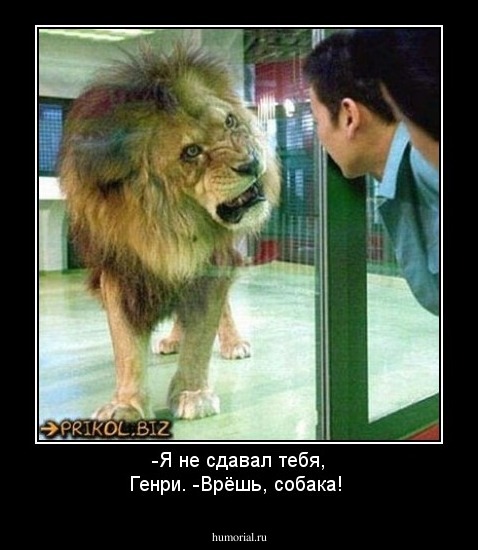 -Я не сдавал тебя, Генри. 
-Врёшь, собака!
