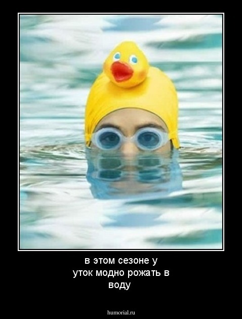 в этом сезоне у уток модно рожать в воду