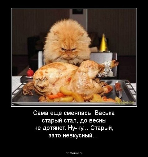 Сама еще смеялась, Васька старый стал, до весны не дотянет. Ну-ну... Старый, зато невкусный...