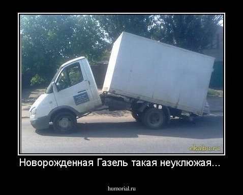 Новорожденная Газель такая неуклюжая...