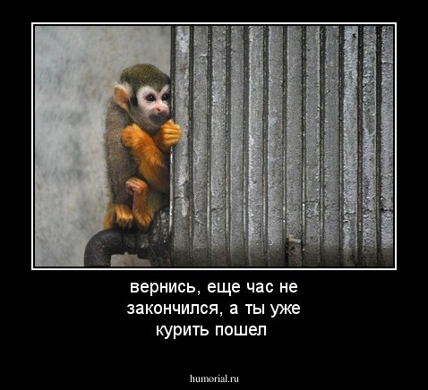 вернись, еще час не закончился, а ты уже курить пошел