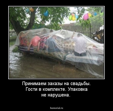 Принимаем заказы на свадьбы. Гости в комплекте. Упаковка не нарушена.