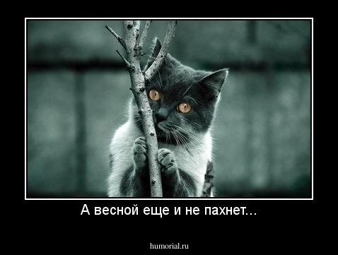 А весной еще и не пахнет...