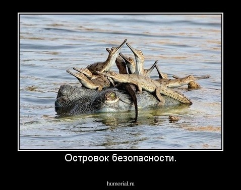 Островок безопасности.