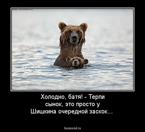Холодно, батя! - Терпи сынок, это просто у Шишкина очередной заскок...