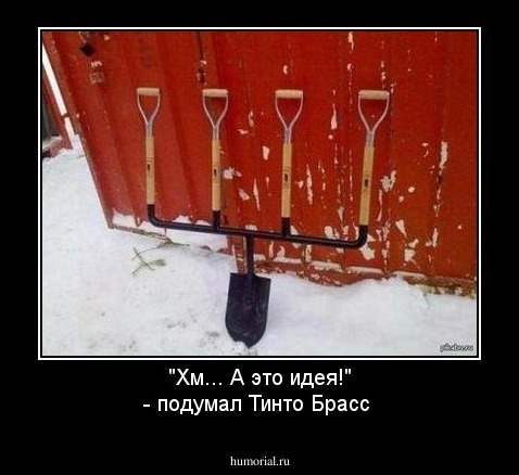 "Хм... А это идея!" - подумал Тинто Брасс