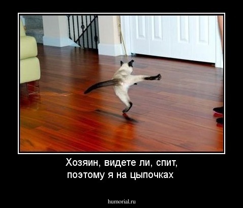 Хозяин, видете ли, спит, поэтому я на цыпочках