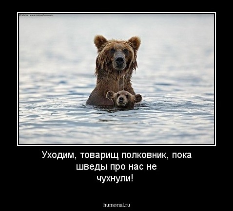 Уходим, товарищ полковник, пока шведы про нас не чухнули!