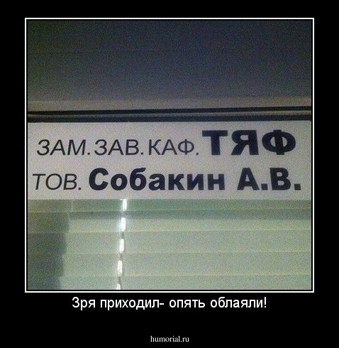 Зря приходил- опять облаяли!