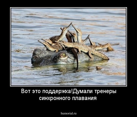 Вот это поддержка!Думали тренеры синхронного плавания