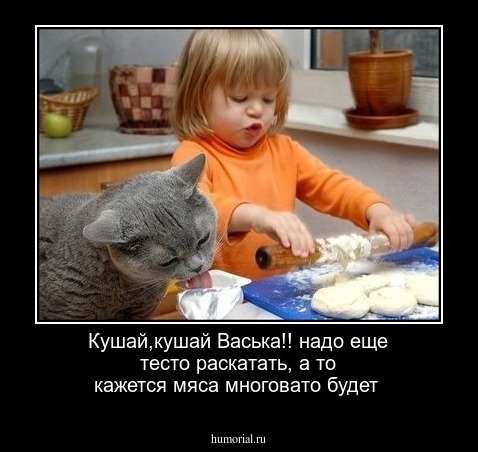 Кушай,кушай Васька!! надо еще тесто раскатать, а то кажется мяса многовато будет 