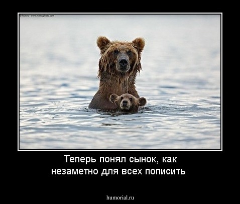 Теперь понял сынок, как незаметно для всех пописить