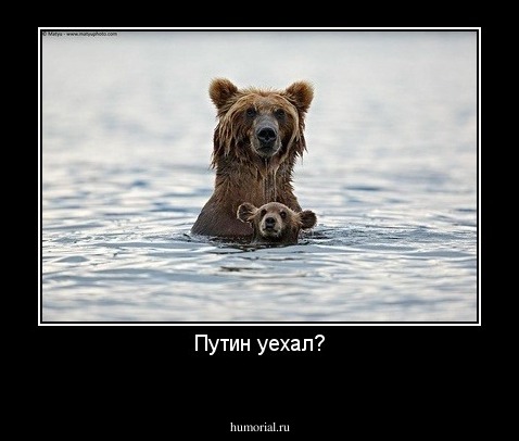 Путин уехал?
