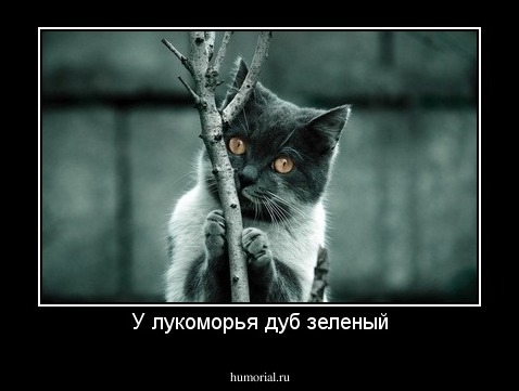 У лукоморья дуб зеленый