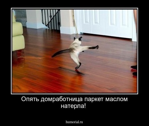 Опять домработница паркет маслом натерла!